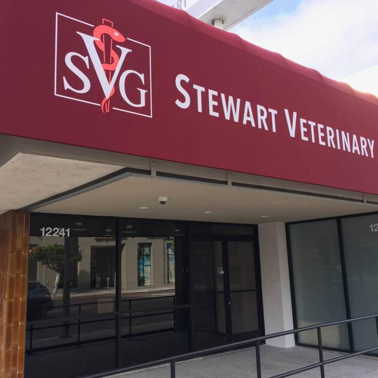 Stewart Veterinary Group Los Angeles, CA